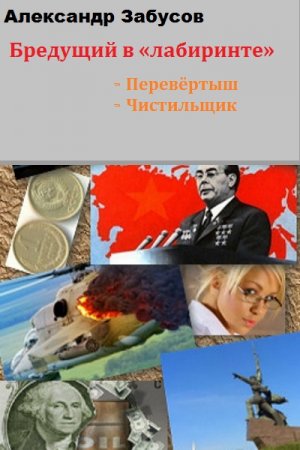 Александр Забусов. Бредущий в «лабиринте». Сборник книг