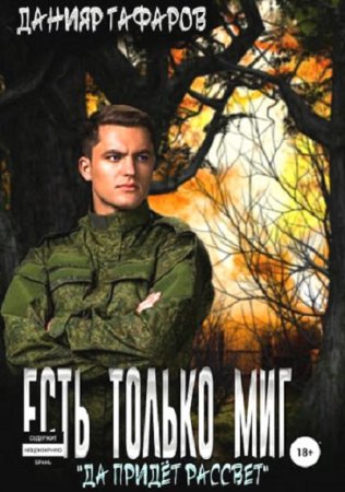 Данияр Гафаров. Есть только миг… (2018)